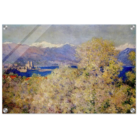 01111314-7e16-4cfc-992c-de621ae33f91