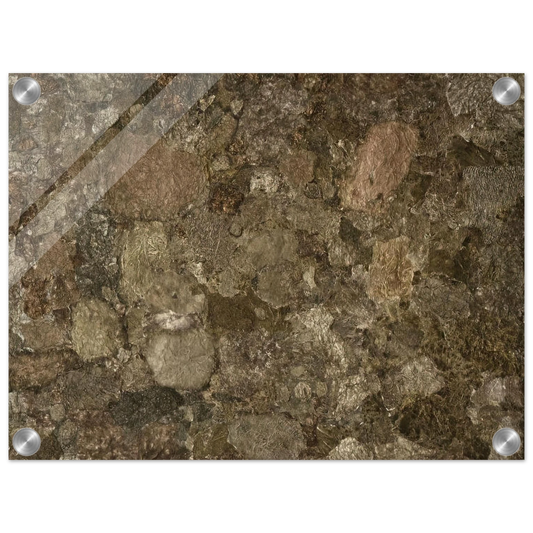 025ae16f-e3b4-45b5-9b0b-5bcb1b603a04