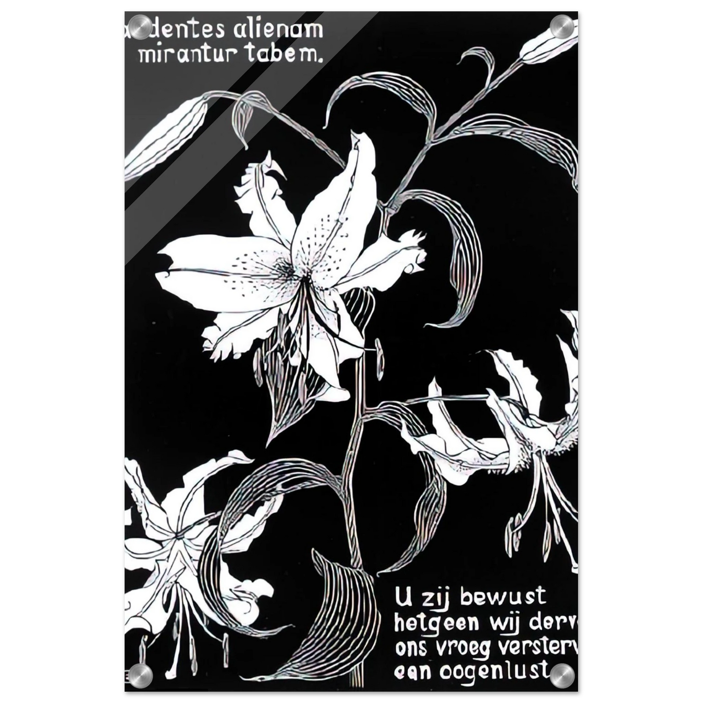 0ab418f7-ef62-47ea-b371-5c2427a28d94