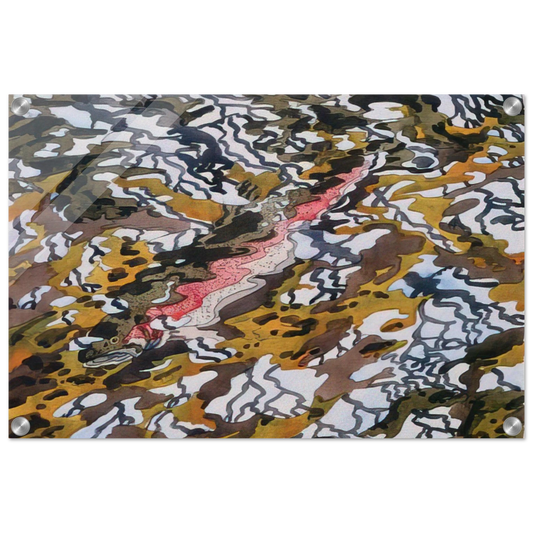 0c57776a-811d-4653-843d-2d951ea1eafc