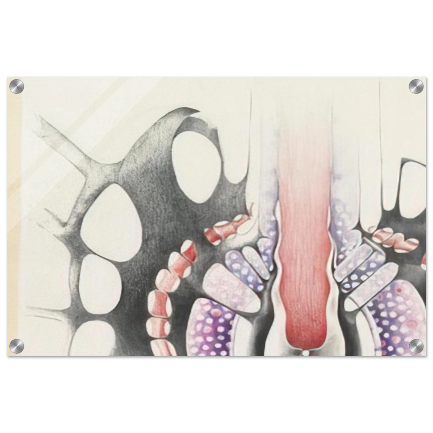 0de0a1a2-b31f-4a53-995a-4b3ebbbbd345