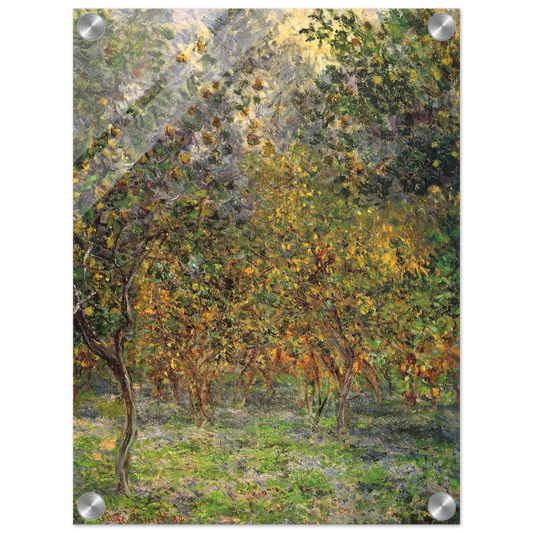 119c8f87-b19d-41c9-abe3-6f1bbdd05299