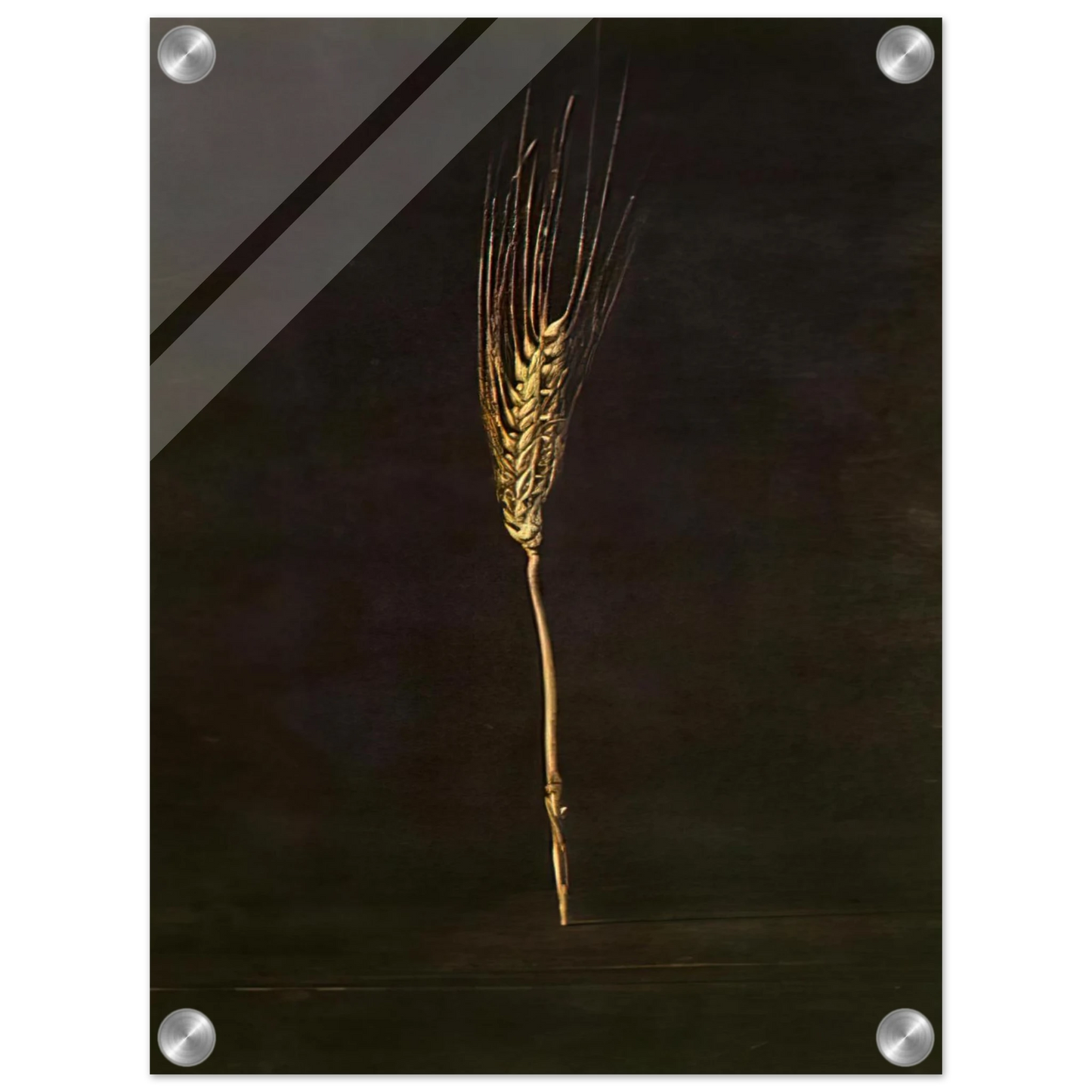 11a6da45-0e61-43dc-8a40-fbf345baa78c