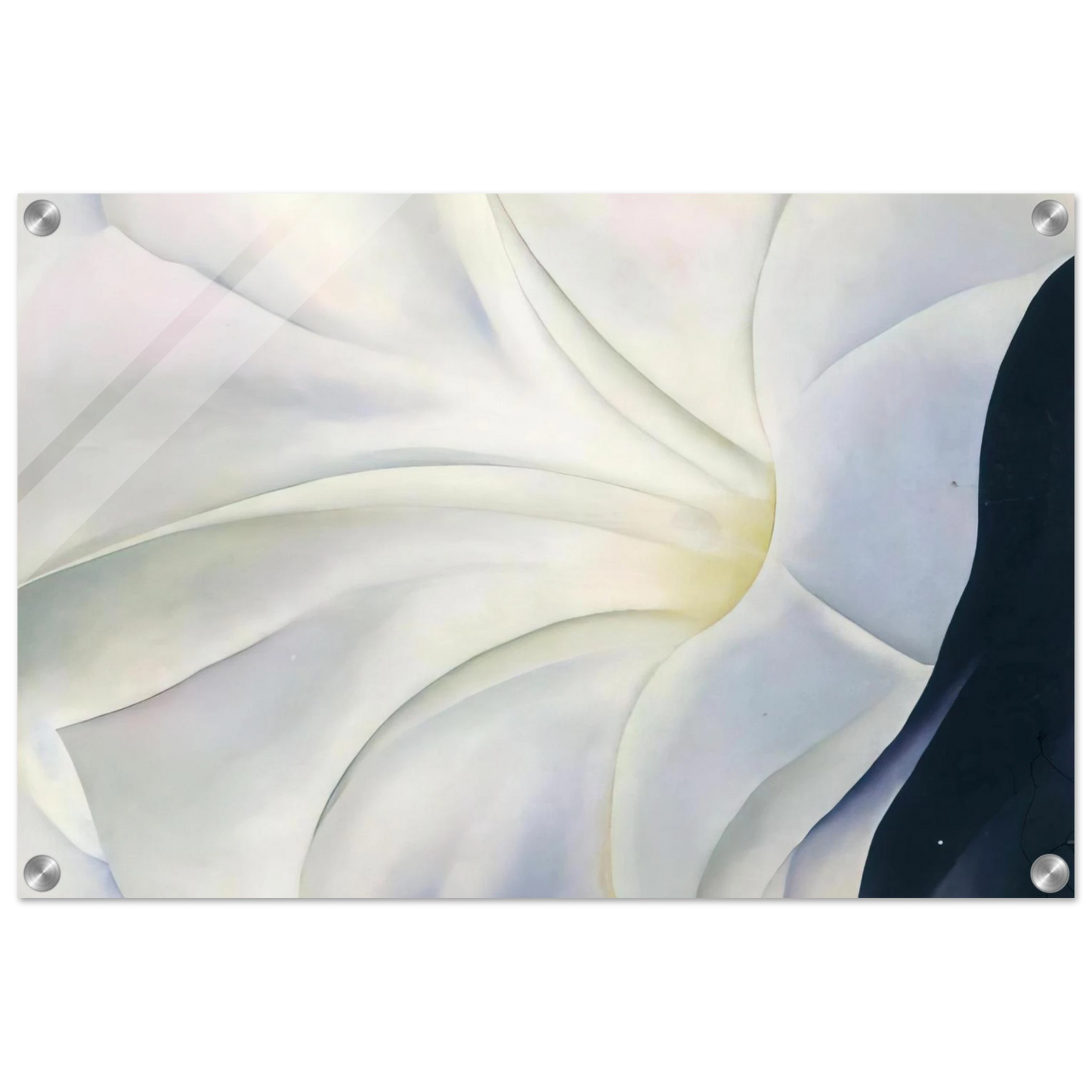 13cffb72-79d4-4ad4-83b6-d177d0db8235