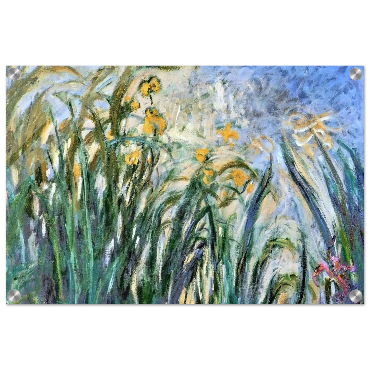 1444a282-6969-4dae-abe1-c08b0c7536d2