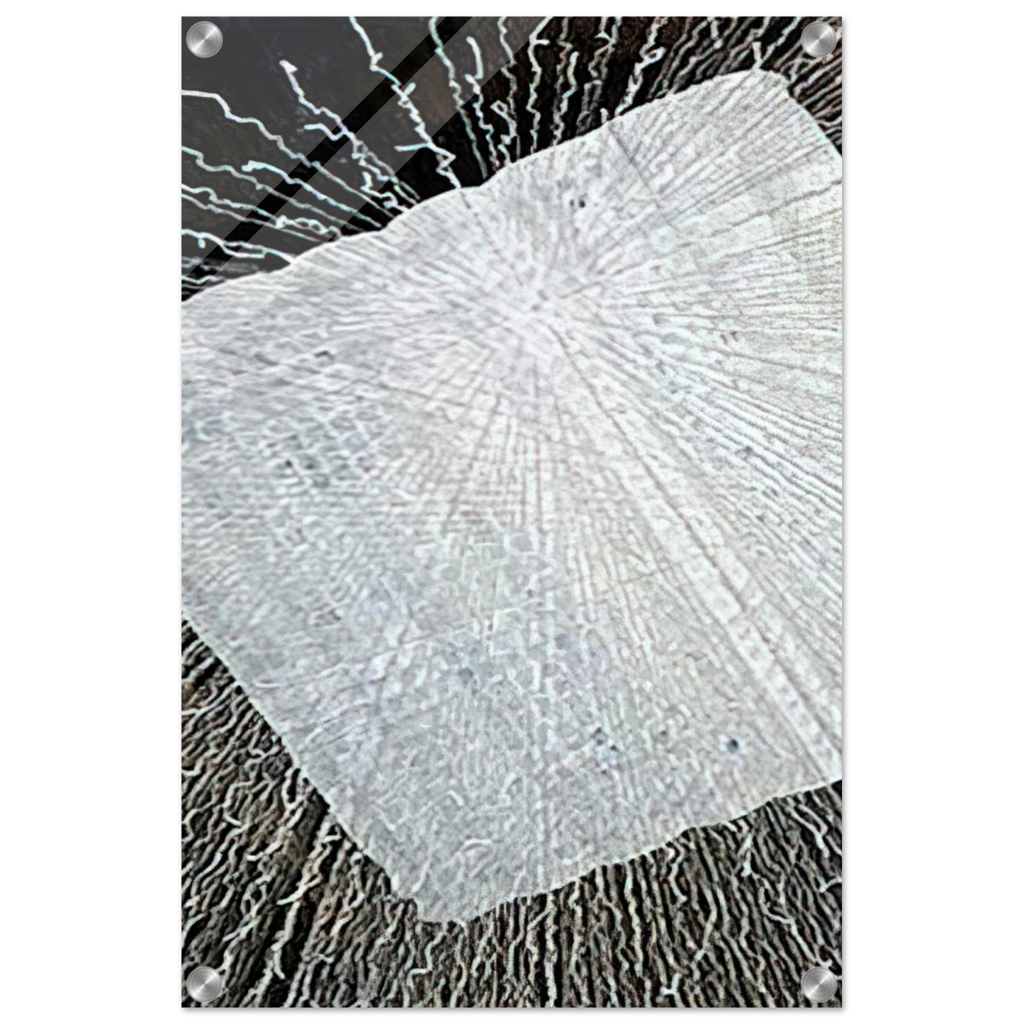 16548cb4-060f-498a-b78e-ec403a948803