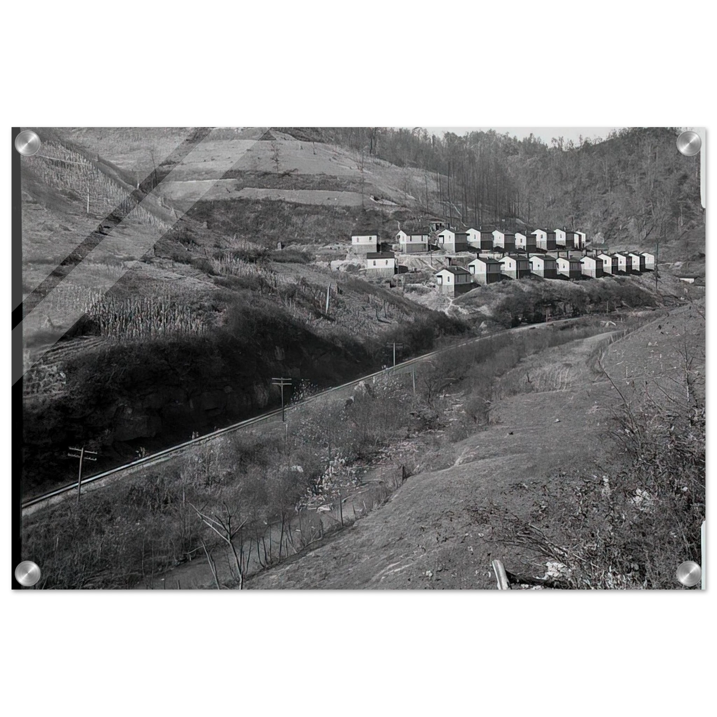 189209d0-0433-44c9-b442-b76c00d38e02
