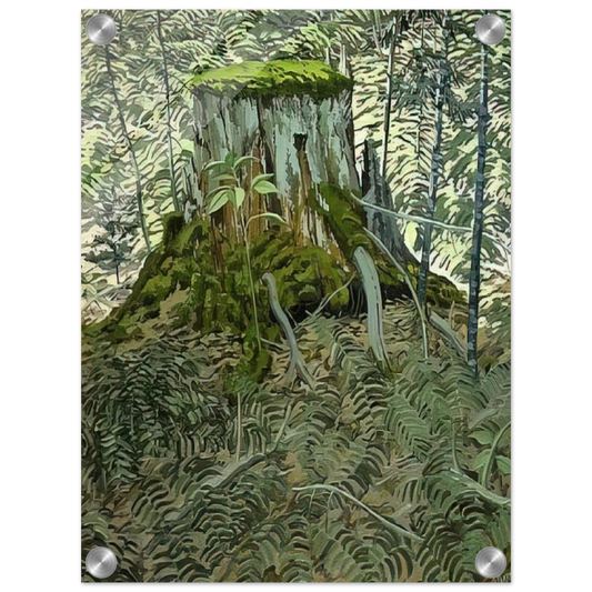 1d4351a0-00f4-4f8a-bcae-93d53eaeddbc