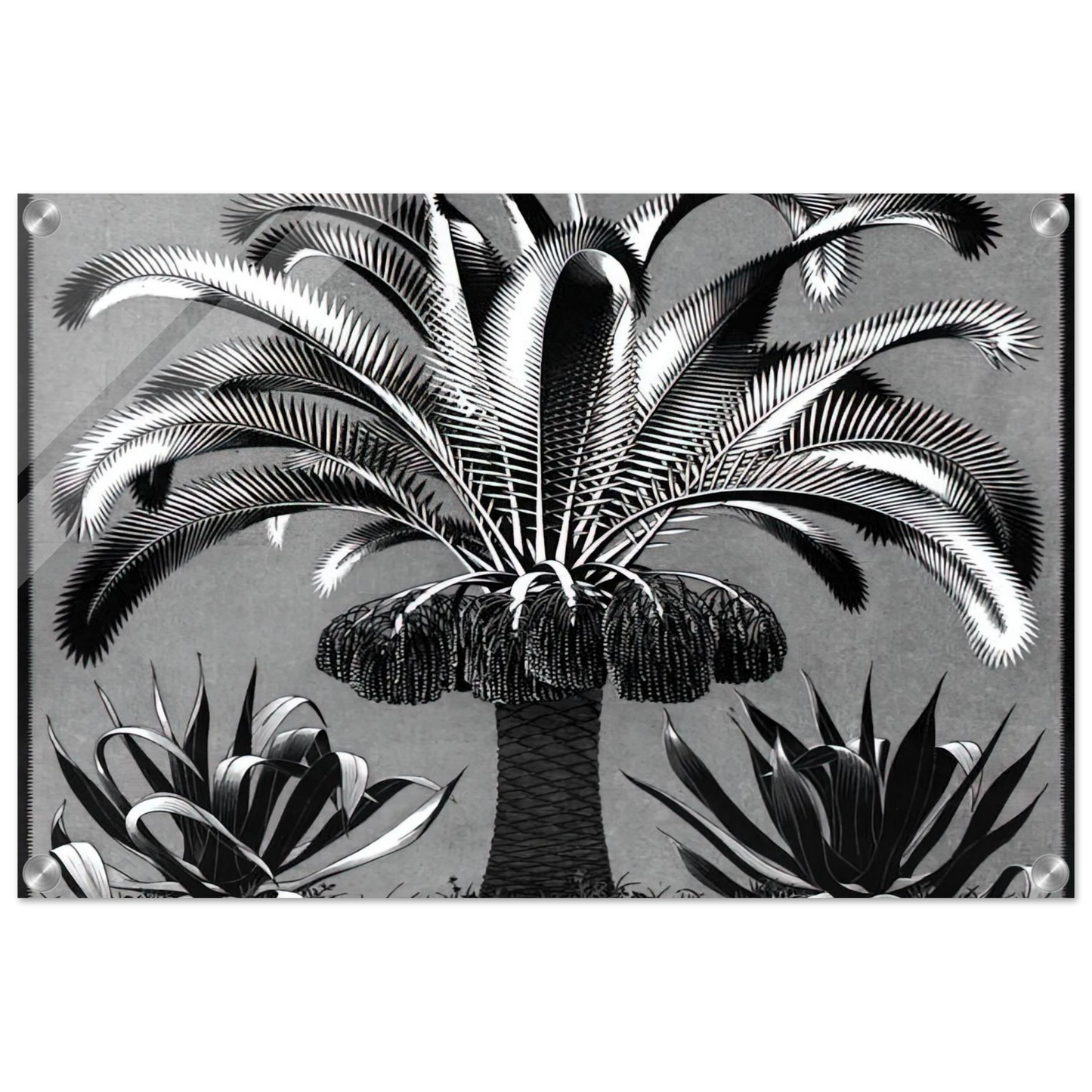 1f3b08c4-d334-434f-a5b6-baa0f77b69e1