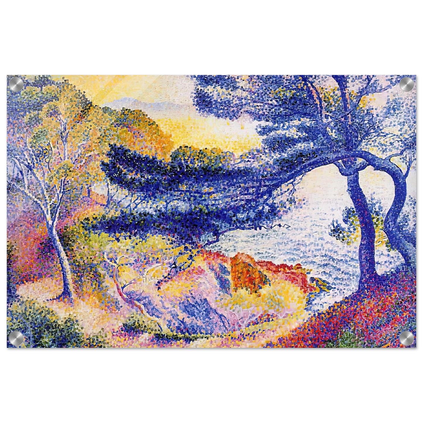 244f9ae5-5fe8-4a11-a132-2af2a163bc79