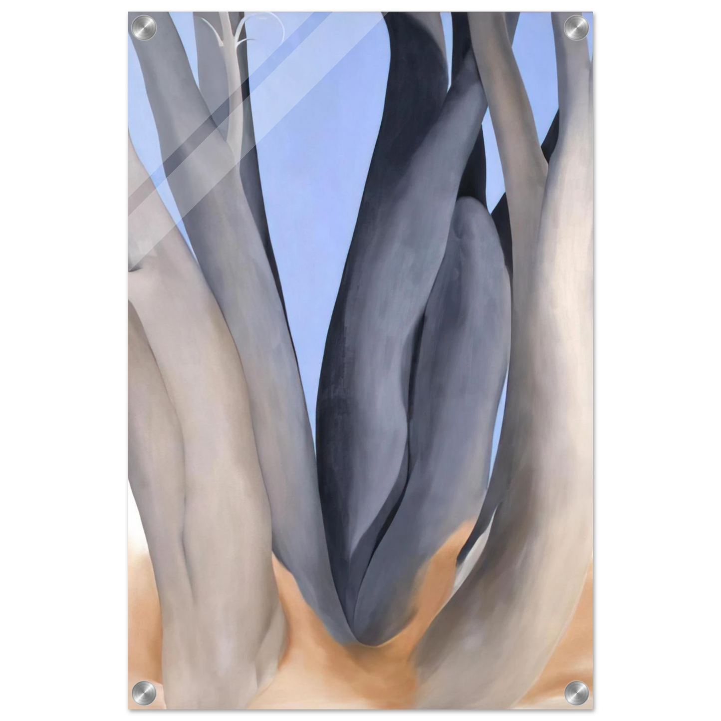 258f6914-22da-4b4a-9082-3d0c5782b00f