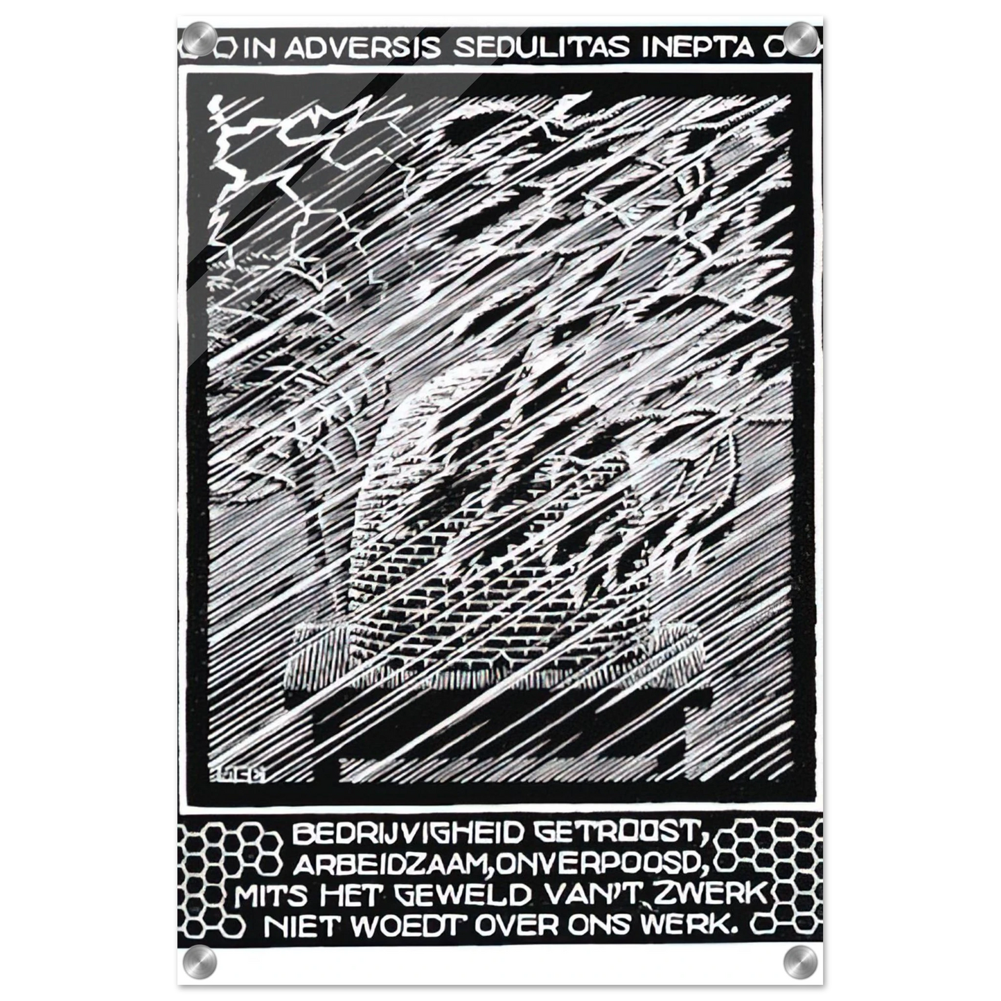 27d1a3c5-6f49-4450-bd38-278de4e4bf54