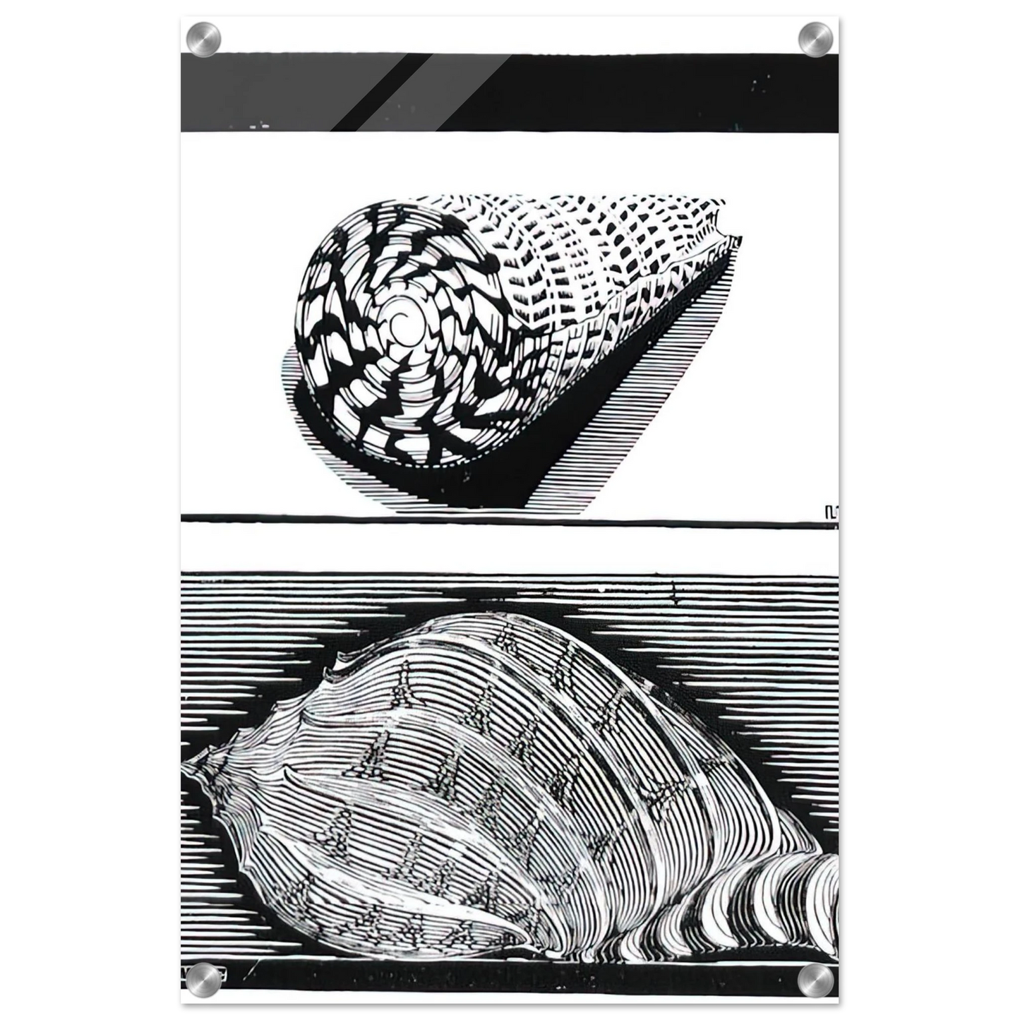 2f1ed28f-9566-4eca-9f99-a634b37fab02