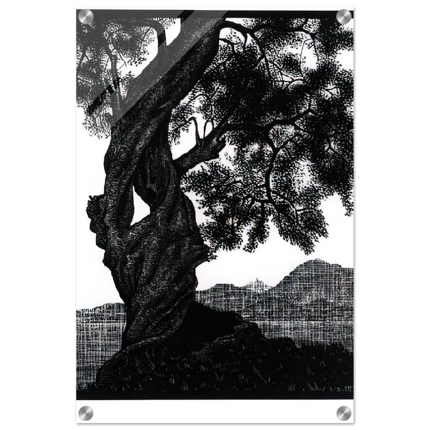 3360b5c6-4a10-4521-b8e3-e9a53d6f7561