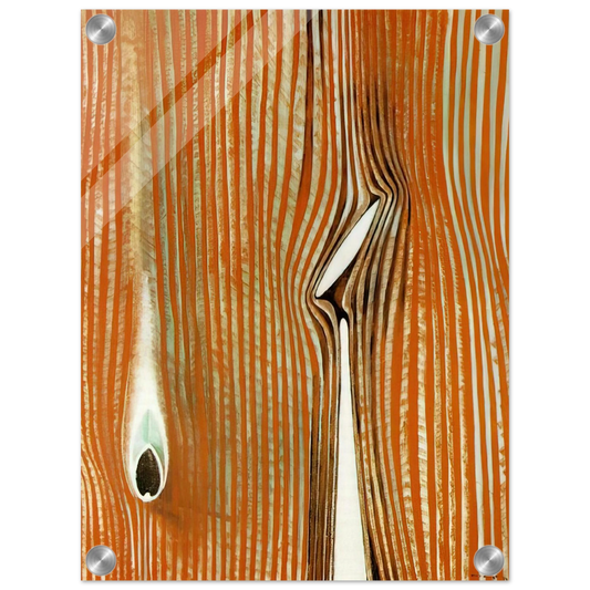 37ba2e12-6c89-42ca-9986-6aa209b1da71