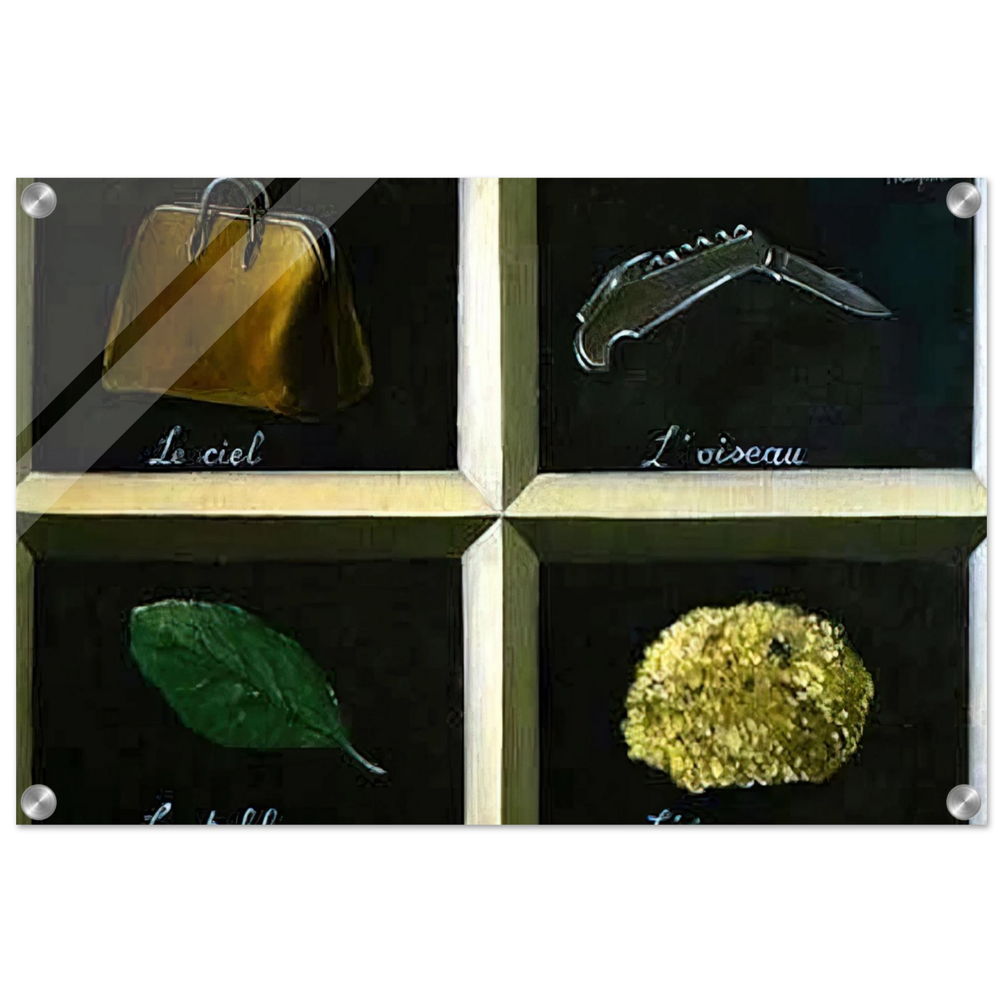 3e37e21e-414e-47f4-84ba-117c4bcb26b6