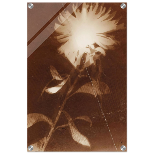 3f9d754f-dd28-46b9-b37b-0fde79f55b79