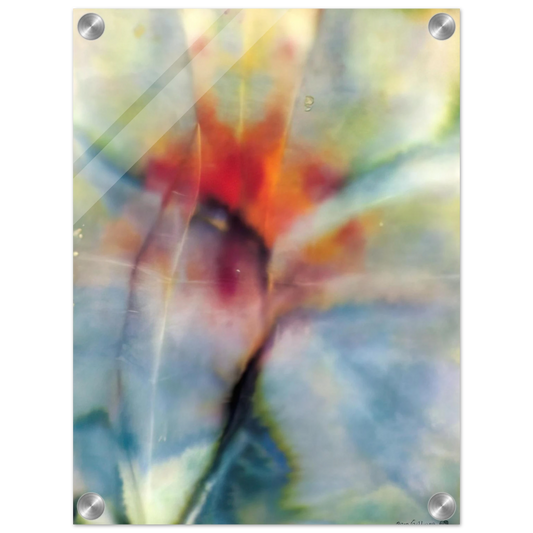 40136e33-6eee-4f36-a507-f603b9eeb1f1