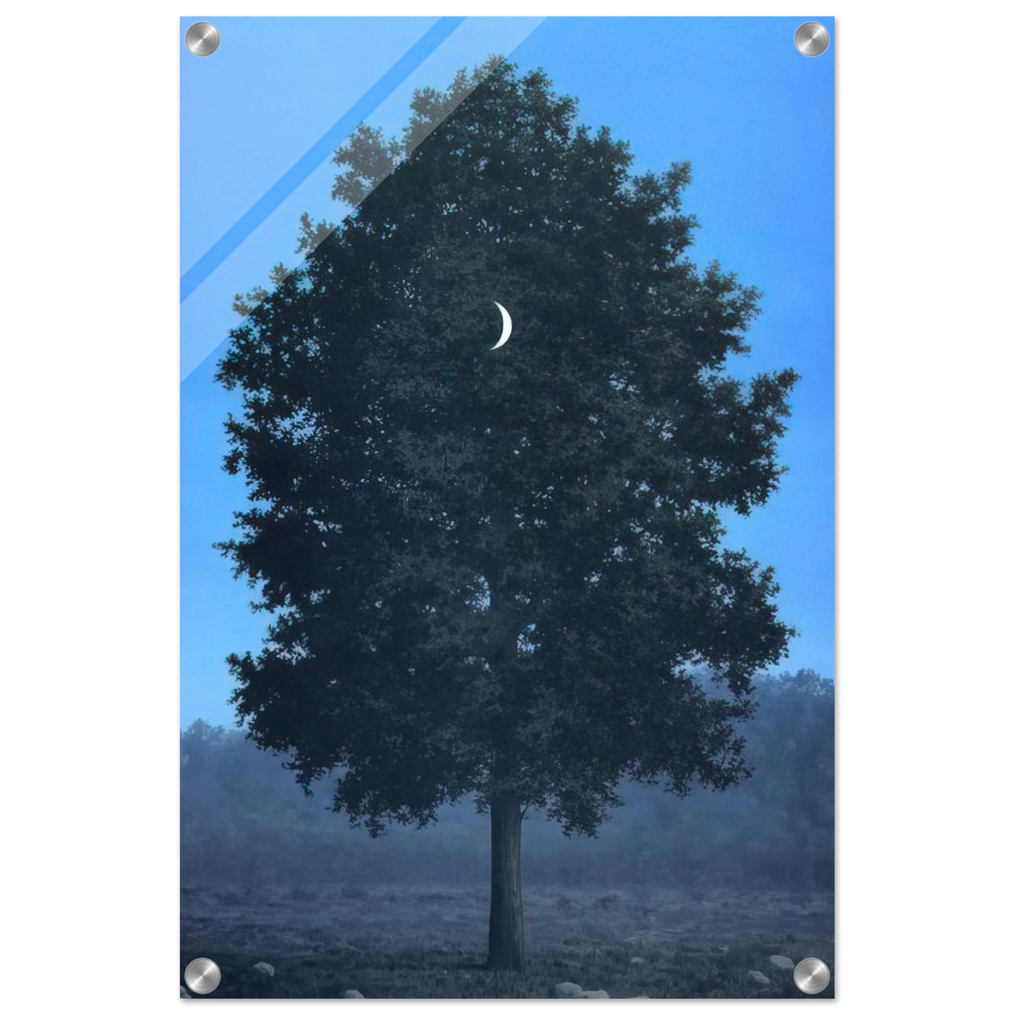 402db570-e179-4de0-ad69-e2ba75fe7065