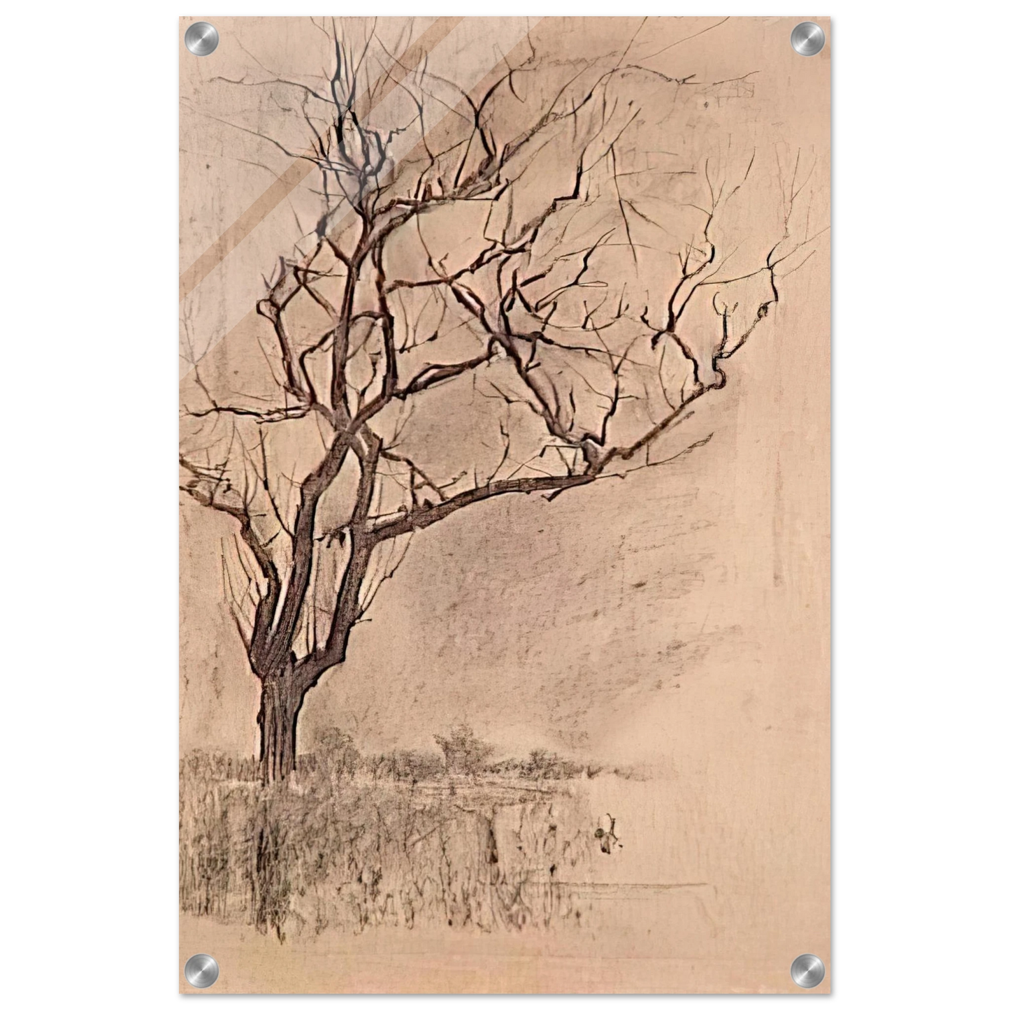 45b46c76-21ec-454c-aabb-5274c4b82a13