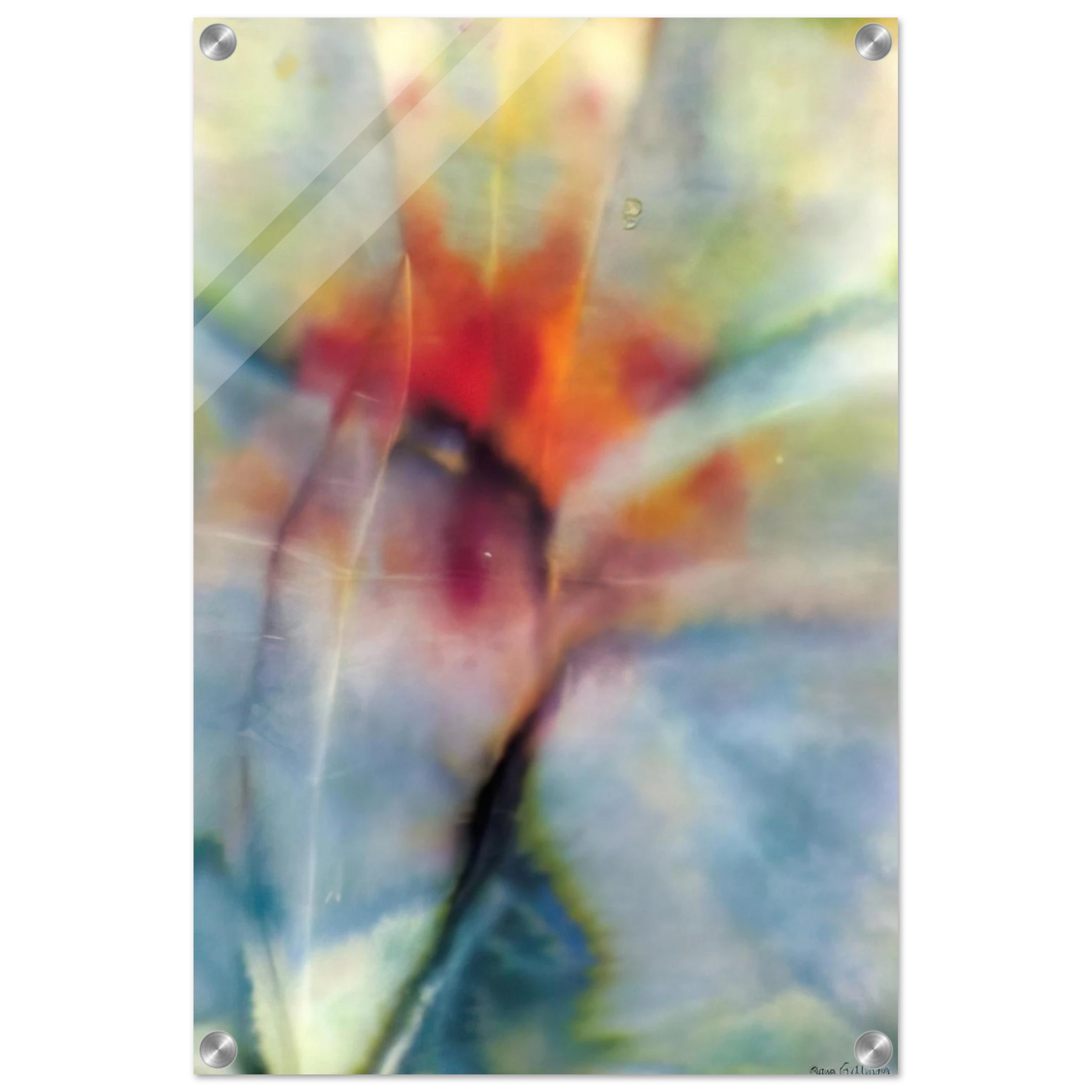 49862cc7-7941-499f-bea7-658aa7c75361