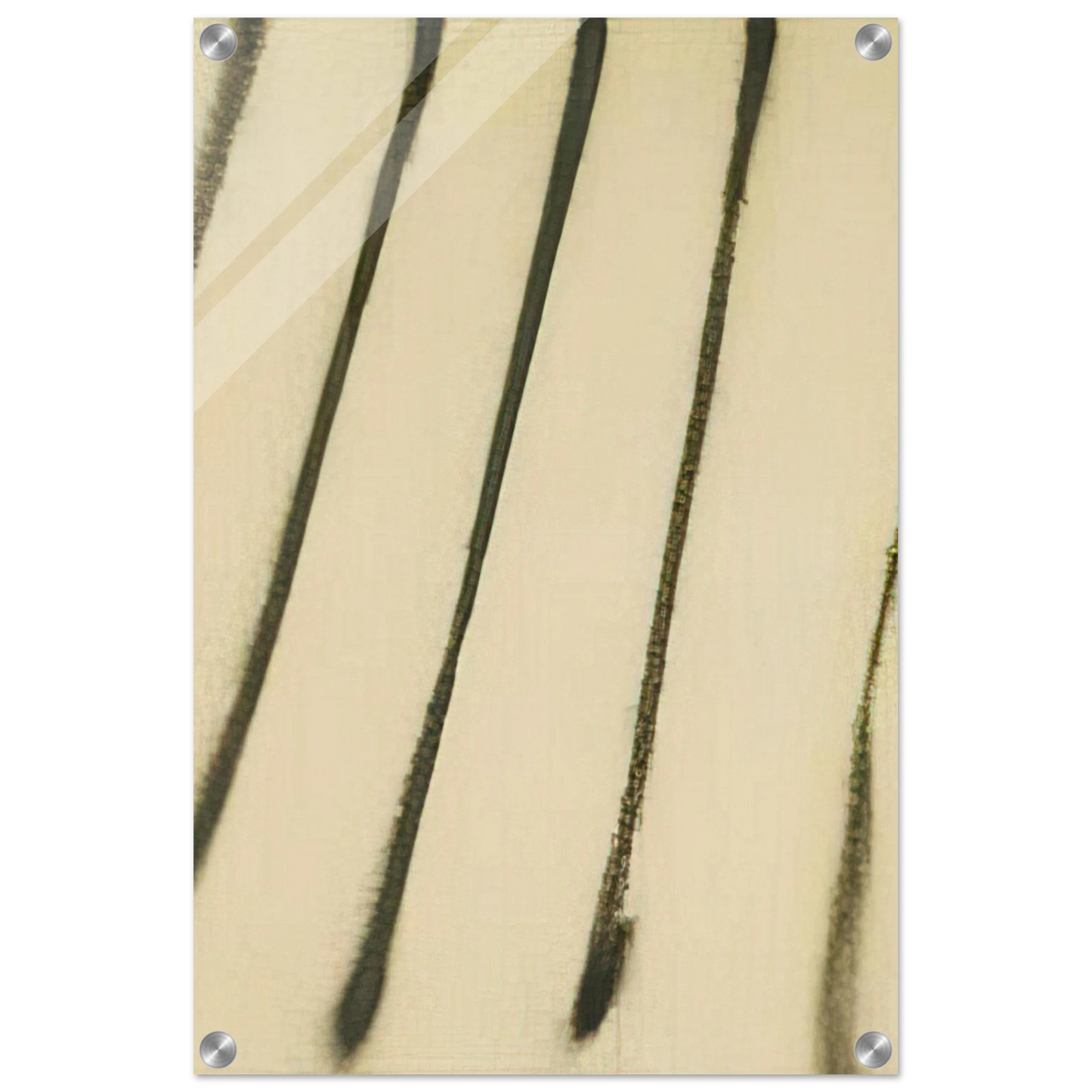 4ebfd7b4-ecdb-41ab-974d-c16f58f17b44