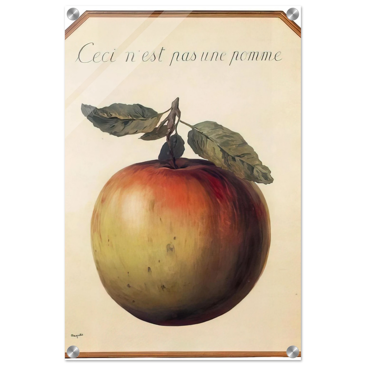 52ff9ea7-0adc-4745-9d5f-5fd57a9dc8a6