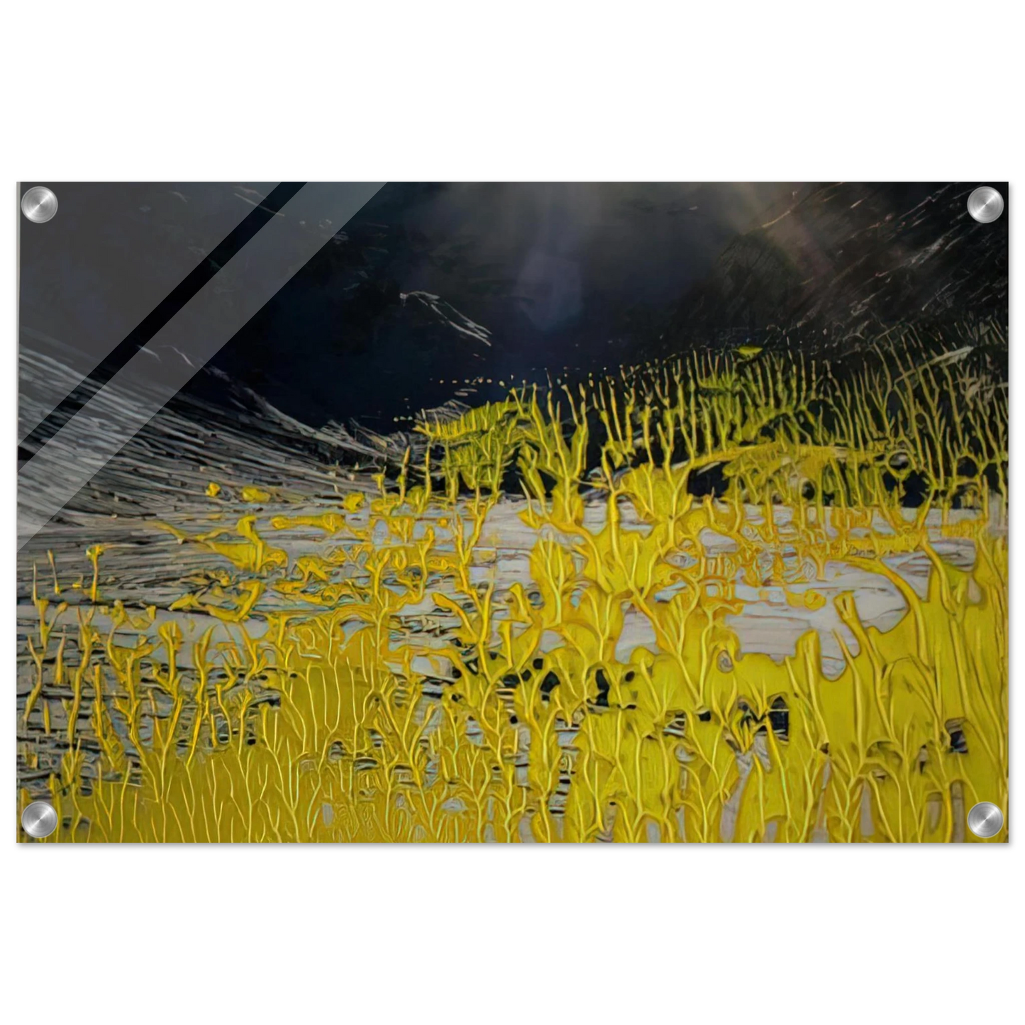 53362e71-d174-430b-93dd-e0522ef90815