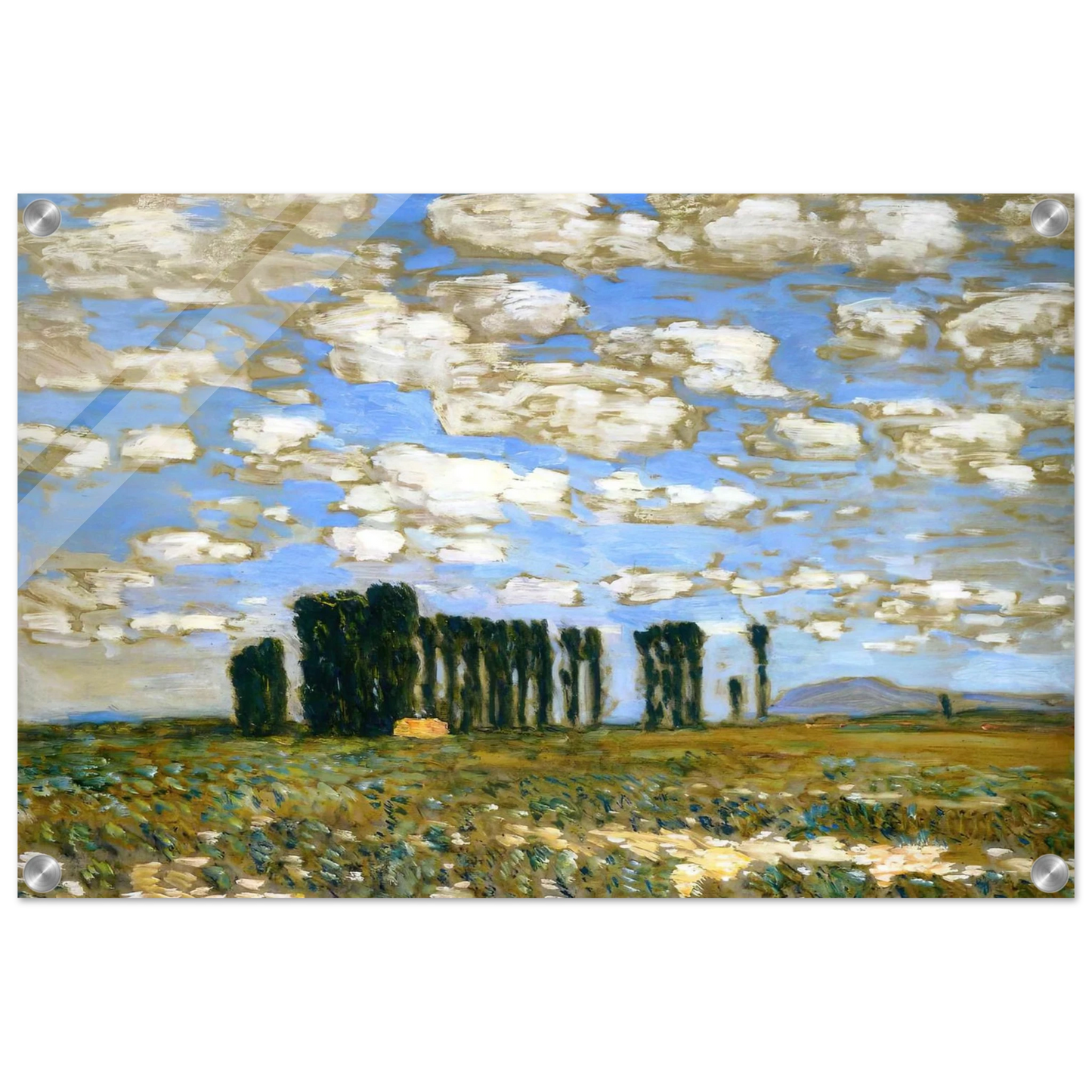 557c4743-2650-4d55-9baf-905df2326ce4