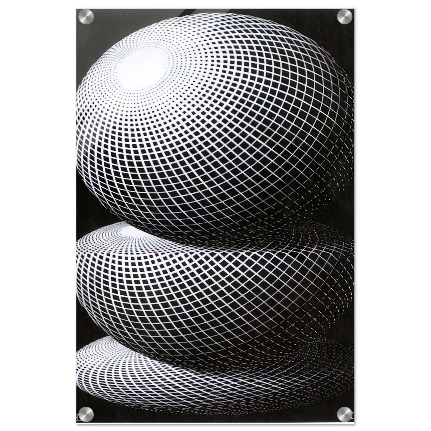 575605b2-aabb-425a-ae9c-9aeb597873ad