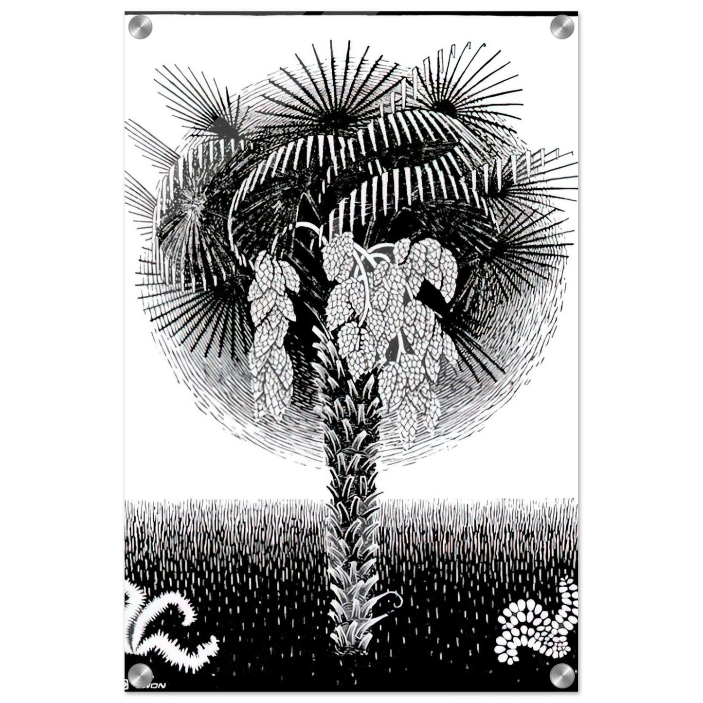 5b4a9e87-4d57-462c-a3b2-39bbd52312bc