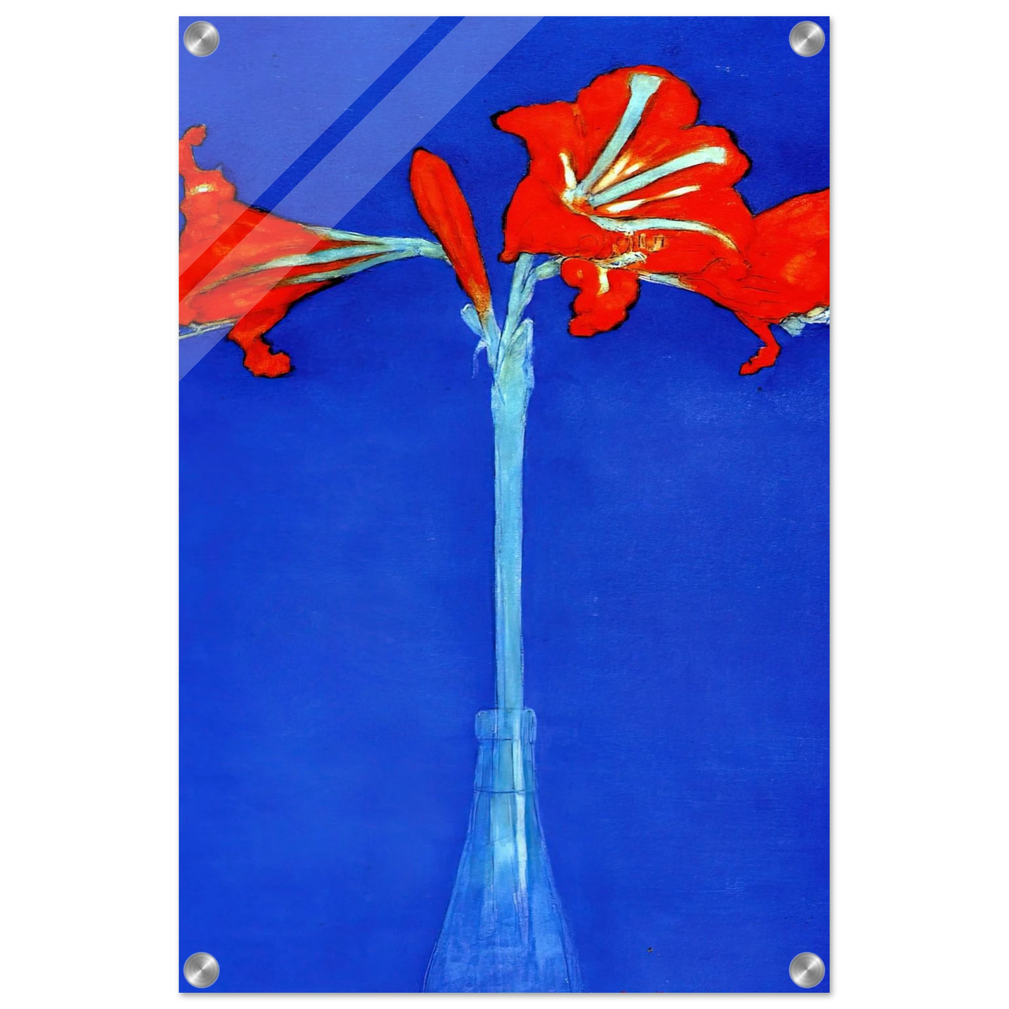 5baf71ab-50c4-4900-9b27-7a6ebc4023ce