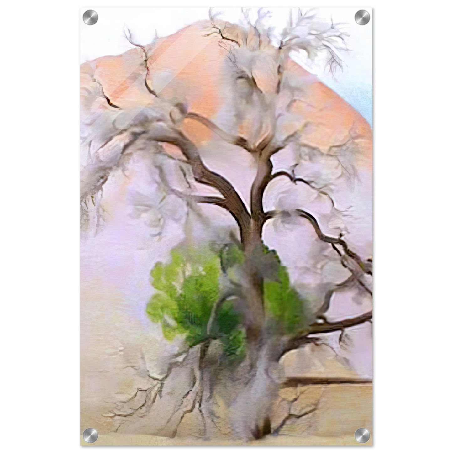 5d965f30-6fe5-4664-a87b-27533dcbf87c