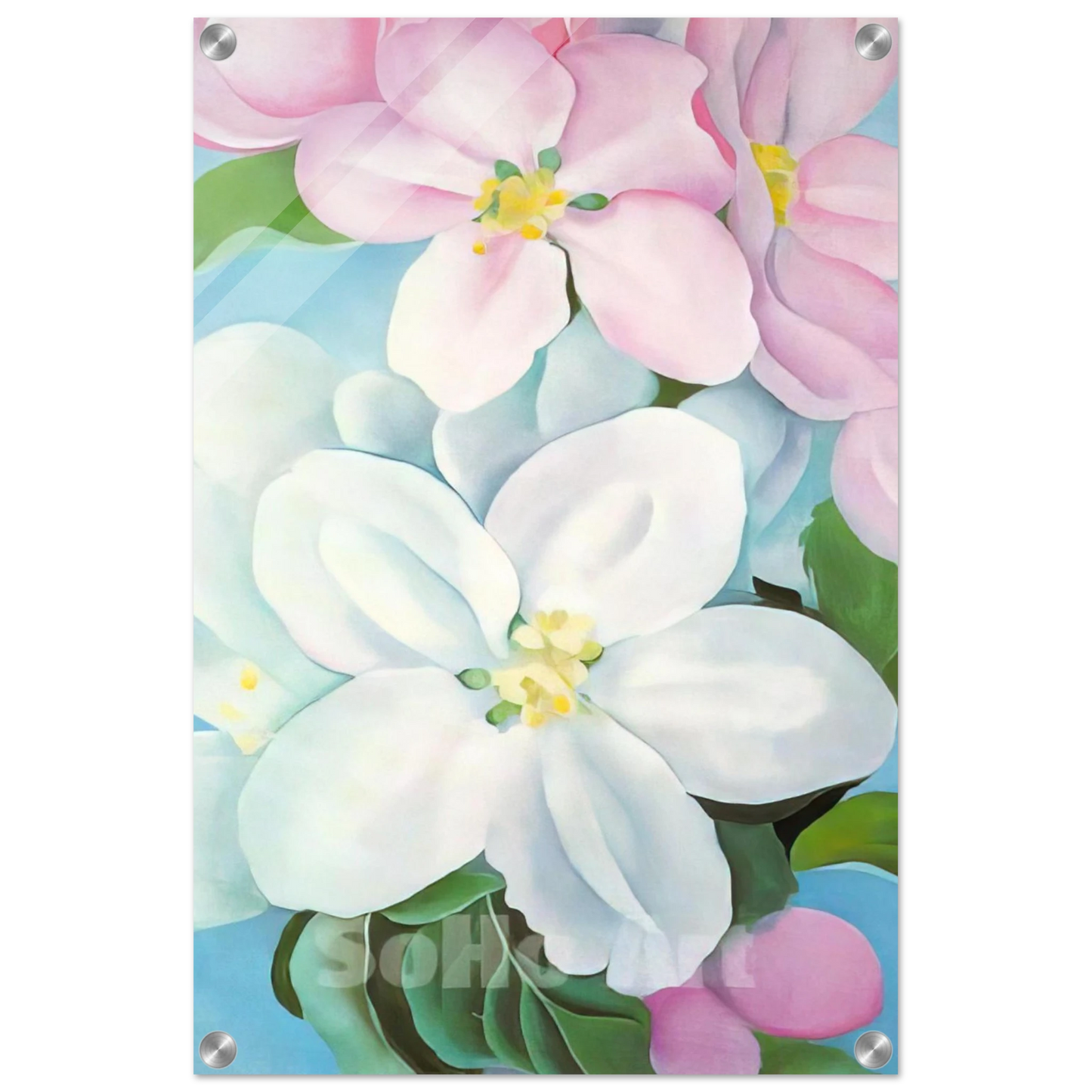 62f903d3-69ce-4ae5-b0e1-0d448ebef6f4