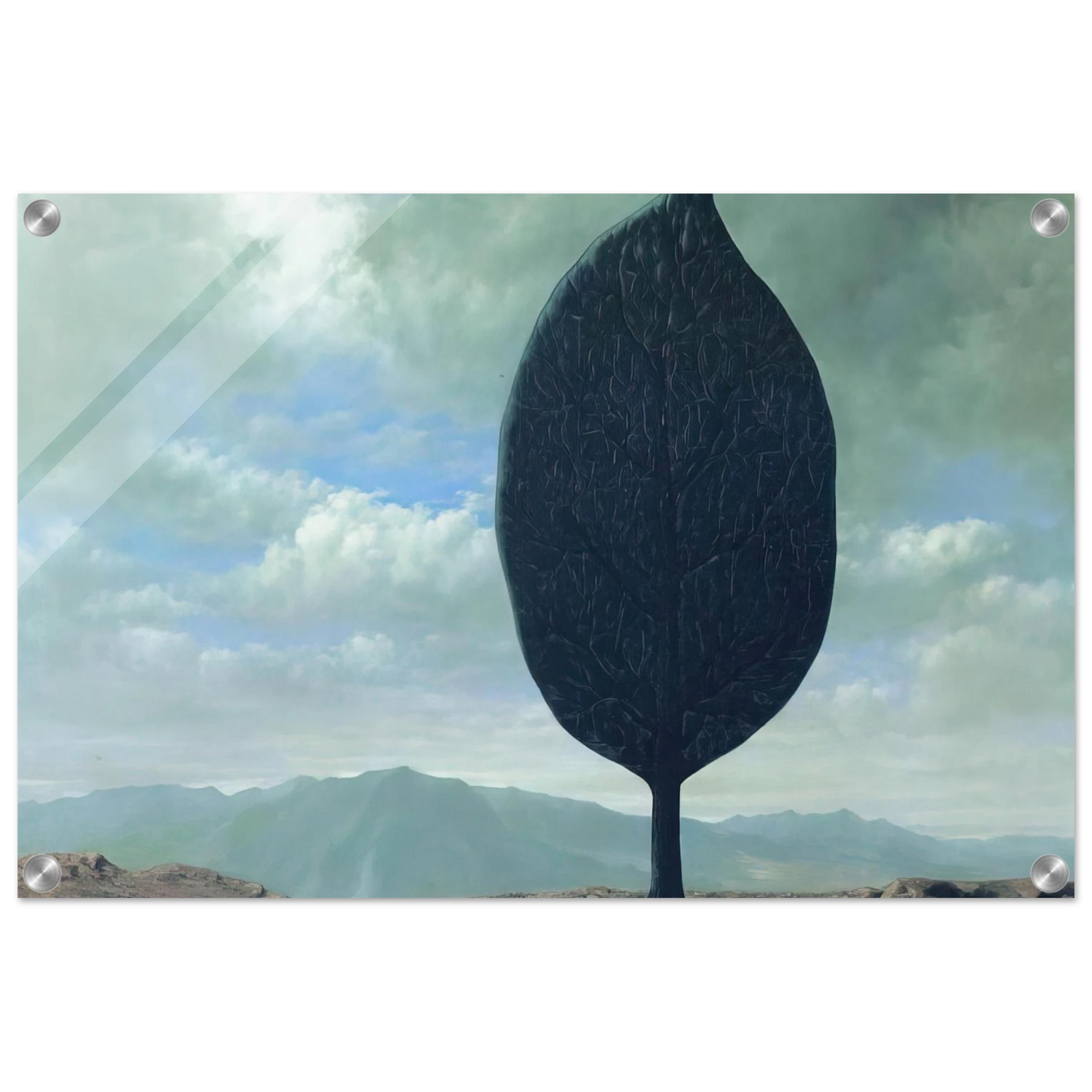 63fcd7e9-8077-418c-833c-57b75736cf35