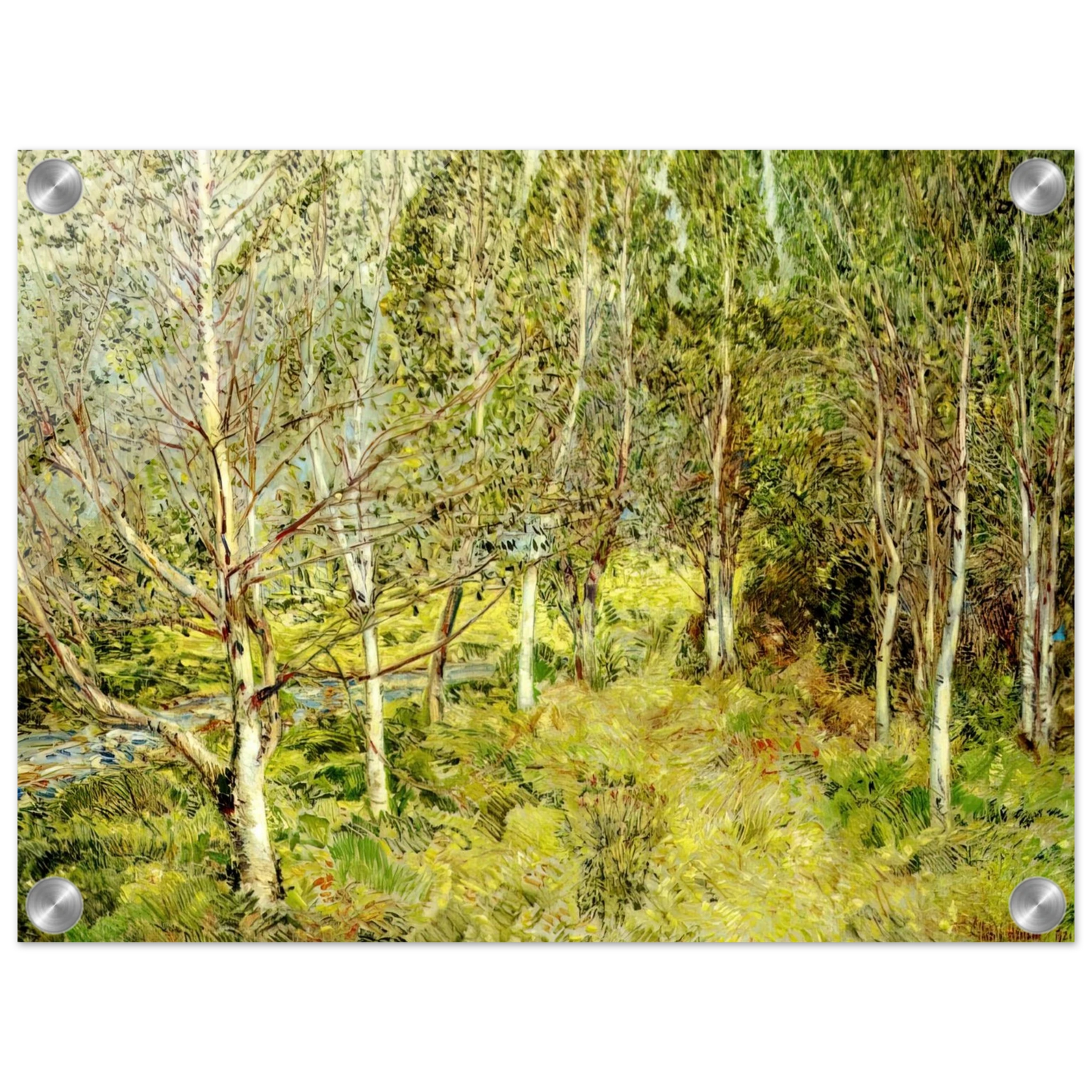 6501f808-136f-40a6-b680-8c449842fa5d