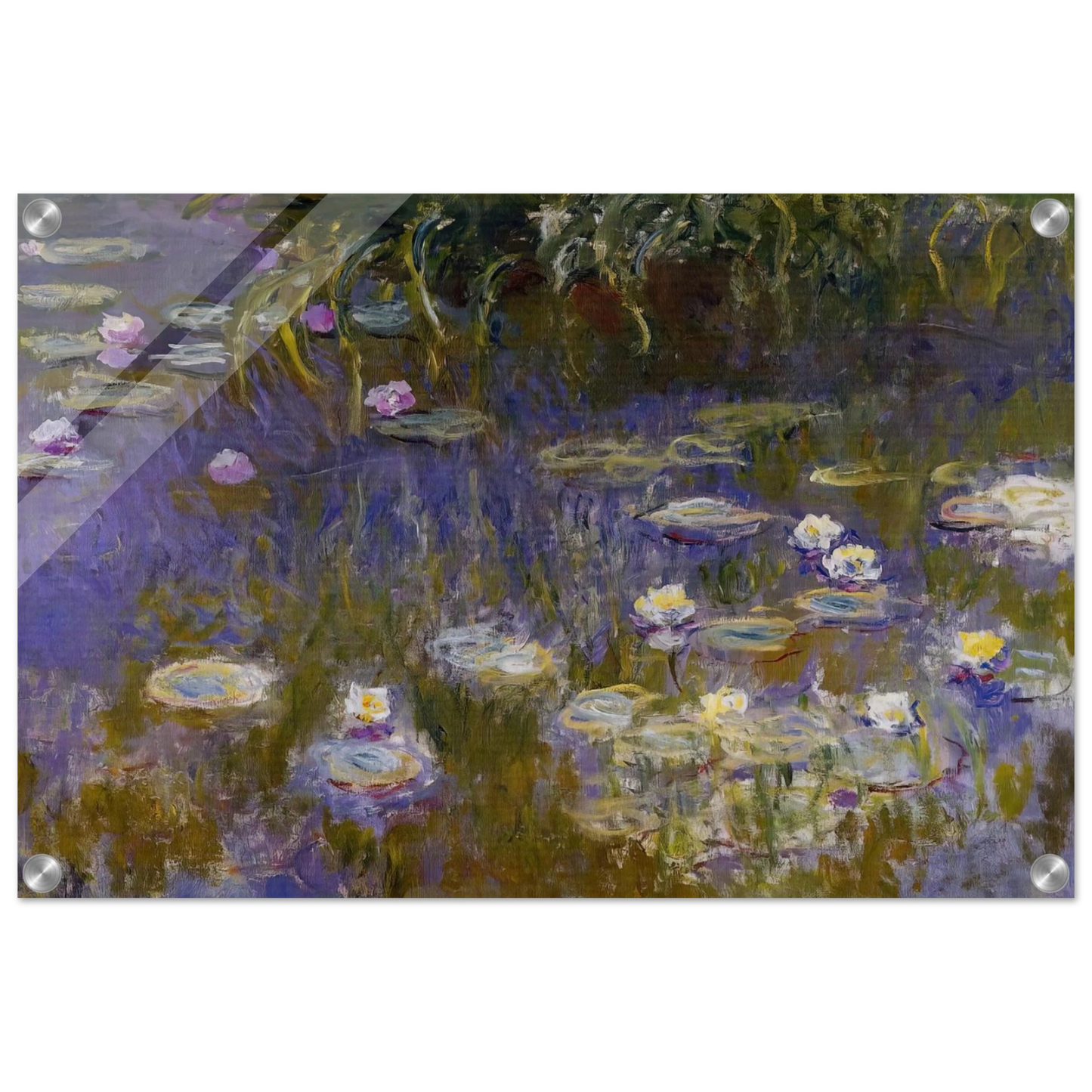 65662224-e486-4e83-8f2d-7f0e6feba53f