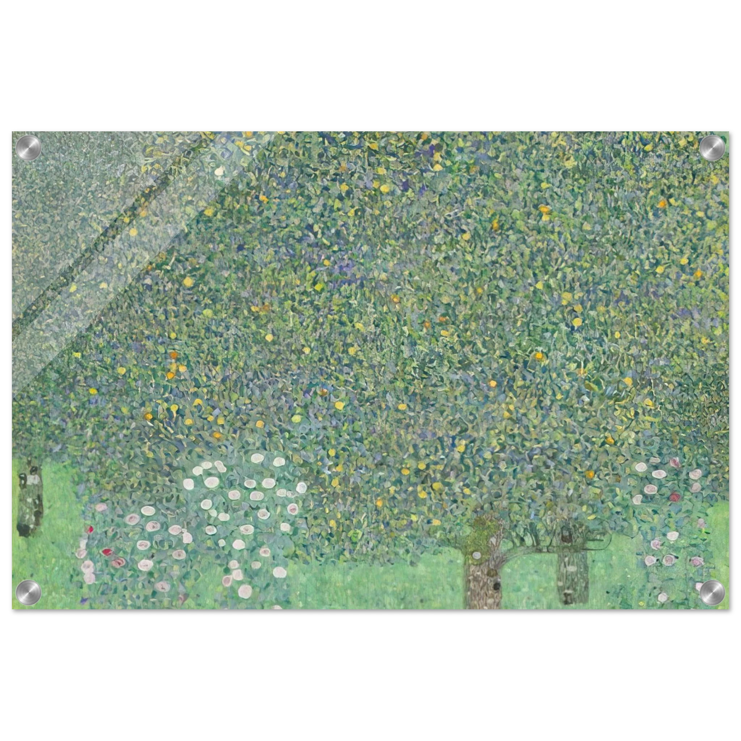 6635a797-b157-4b18-81ae-9c2985c26b68