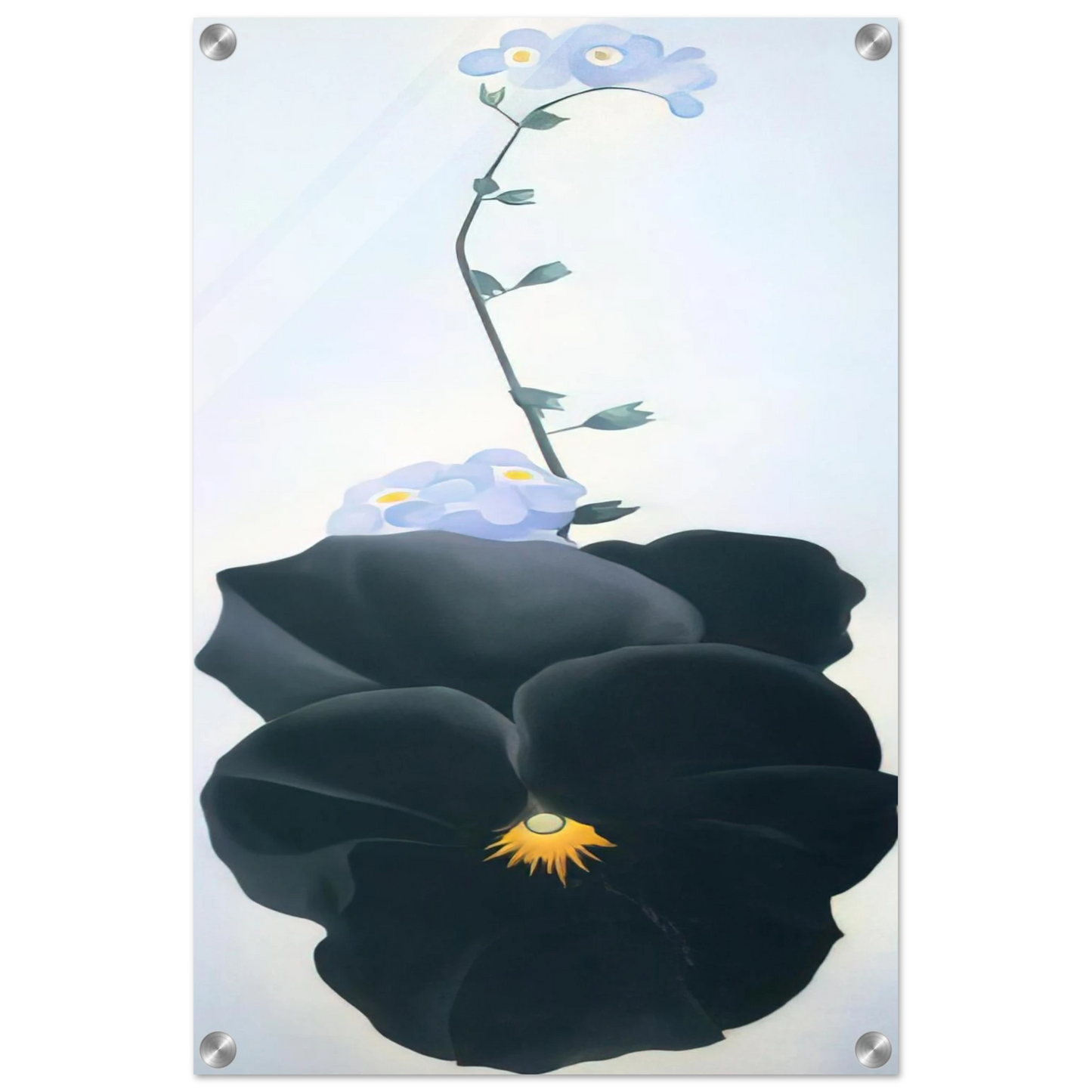 6d5074c4-ff5e-426c-92f0-d268389725e5