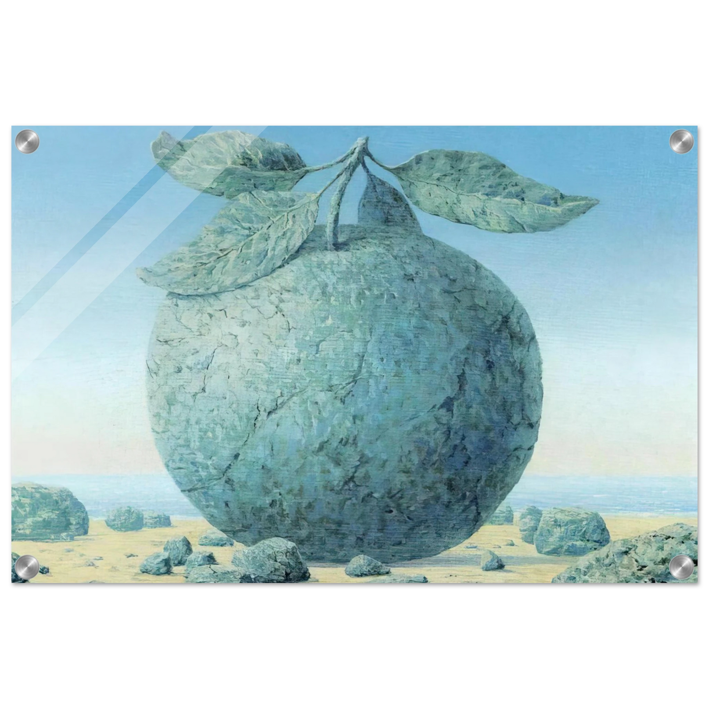 6dcdfc81-abdd-4e47-a7f7-bec141b5334c