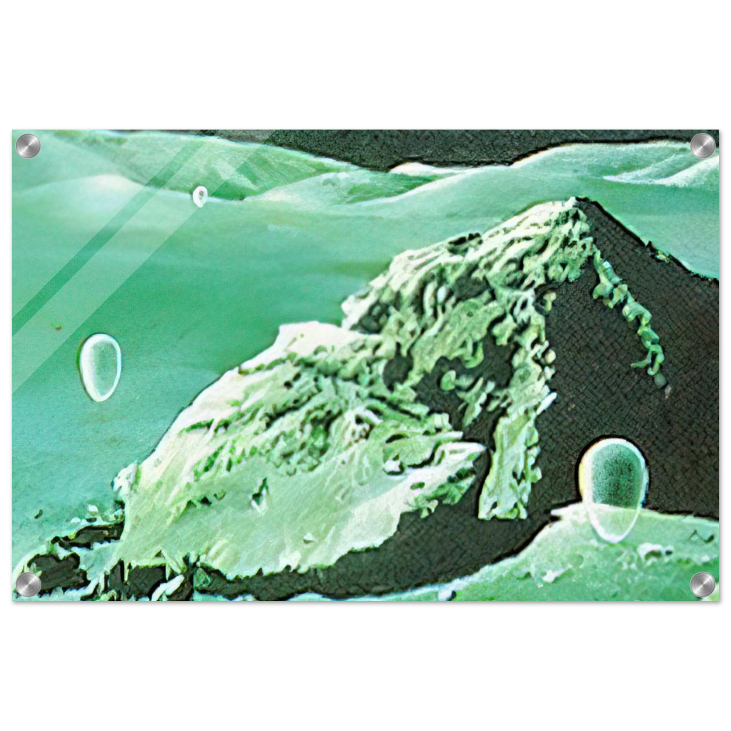 72d49d09-580e-47e3-ac5b-7743543758a9