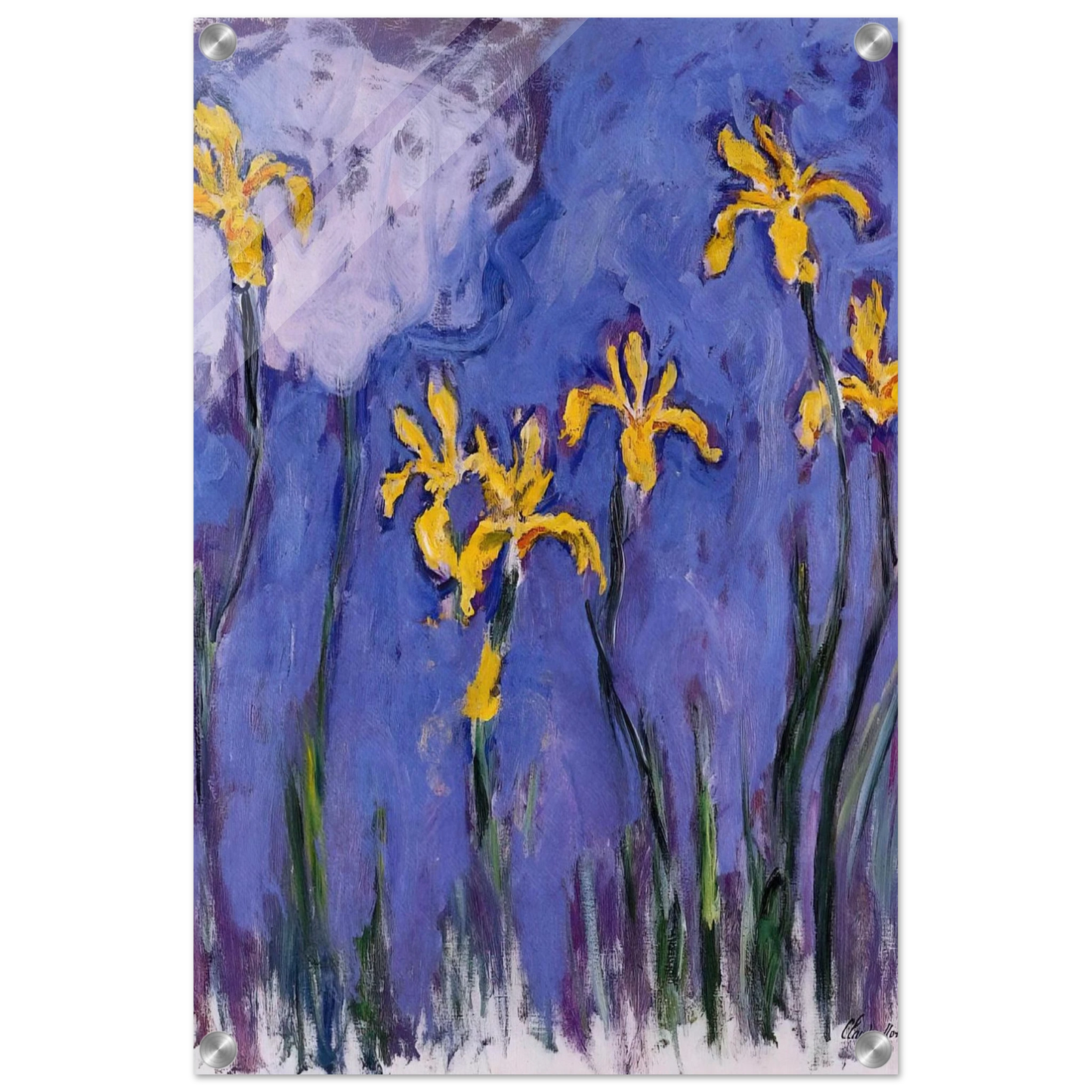 72f3a177-b31c-47d5-95b5-6f7e8c8e630e