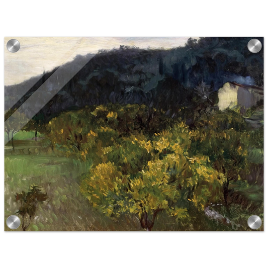 74719496-5ac4-459a-b785-a51309c908a4