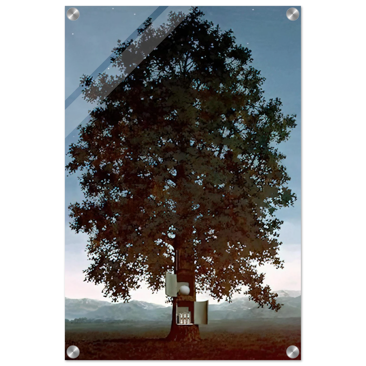 74c9034d-2460-4f26-8a12-a3017afaefcd