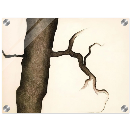 76641173-f208-46de-a424-c0383202d537