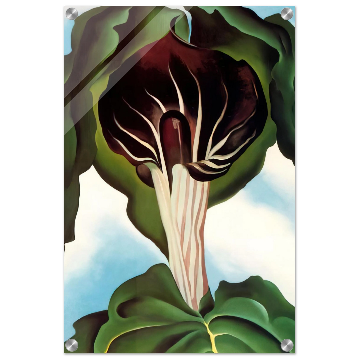 773103c9-afcb-4dff-9b2d-75df204a5080