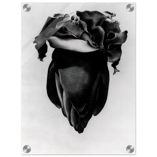 8057c56d-11ed-4e90-96a7-acc44b3d9571