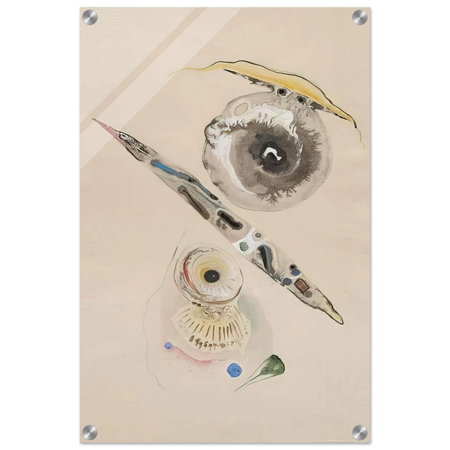 84992ff8-19f9-4923-ba97-84aec7f2be77