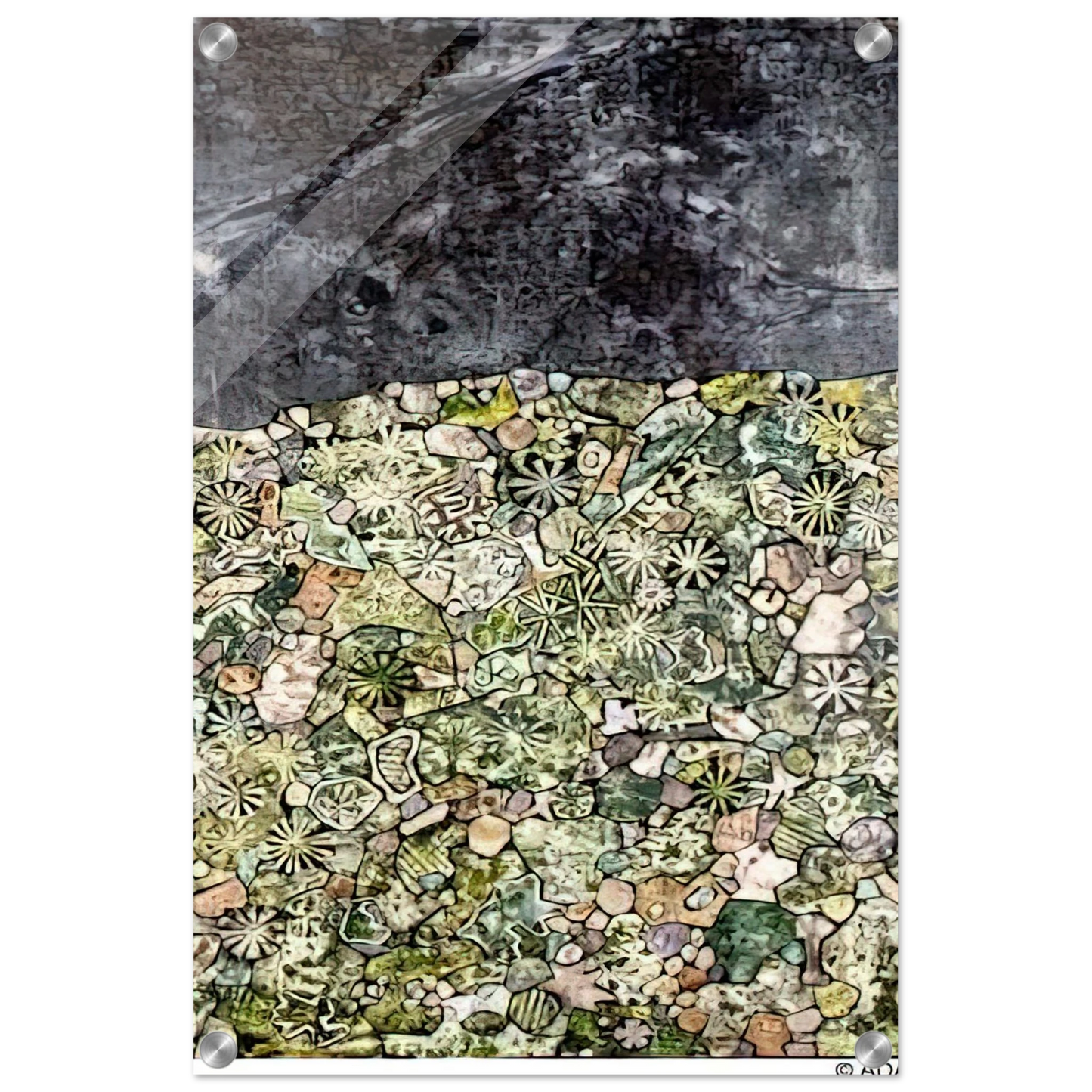 8620f3fa-66ee-44bf-8c30-0a18d08f728c