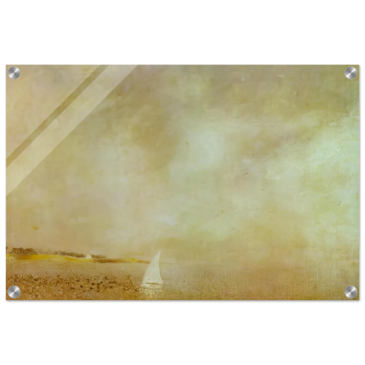 869c4097-898b-48ae-8d9a-2e4956bf308b